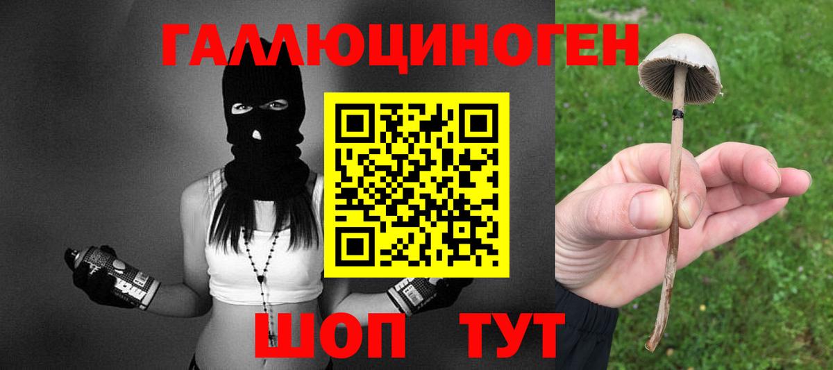 Галлюциногенные грибы мицелий Ивантеевка