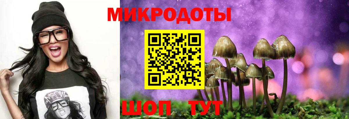 Галлюциногенные грибы прущие грибы  Вход с VPN  Ивантеевка  Псилоцибиновые грибы мицелий 